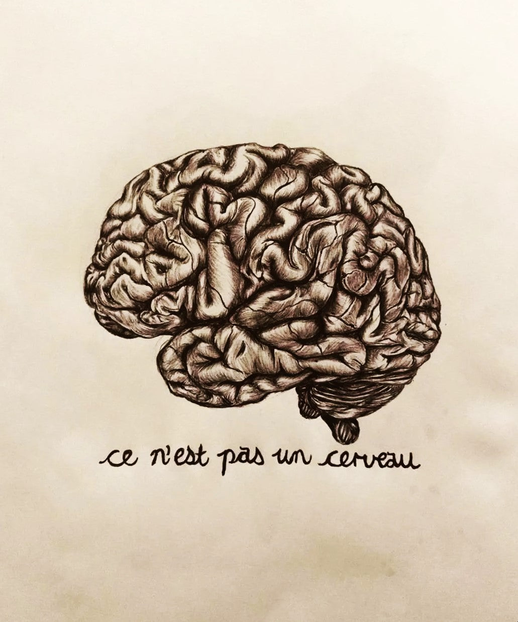 Ce n'est pas un Cerveau