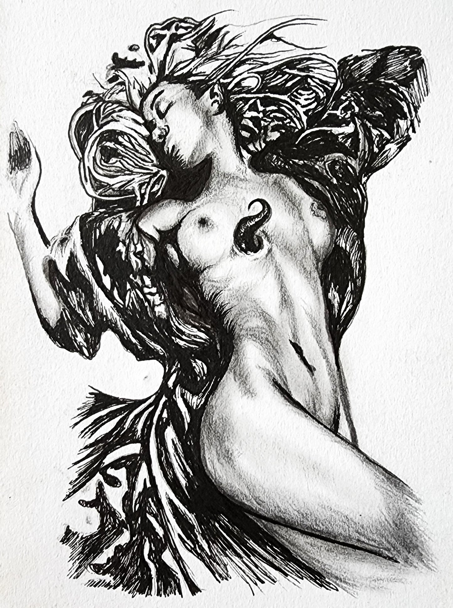 Dream 2