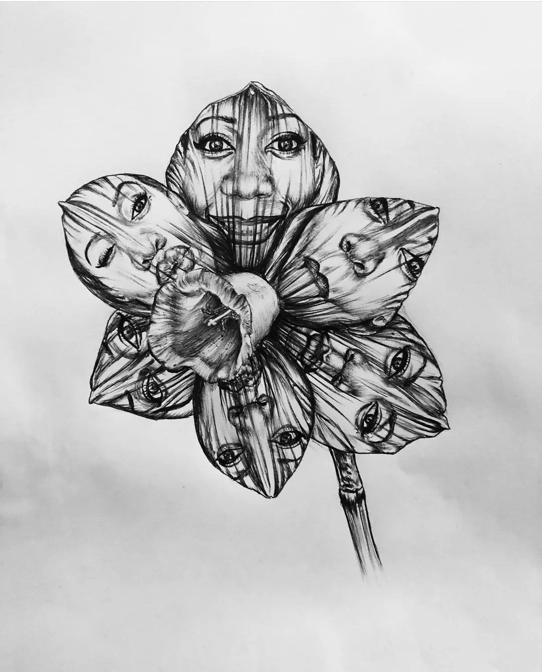 Ndaya la Fleur de Narcisse