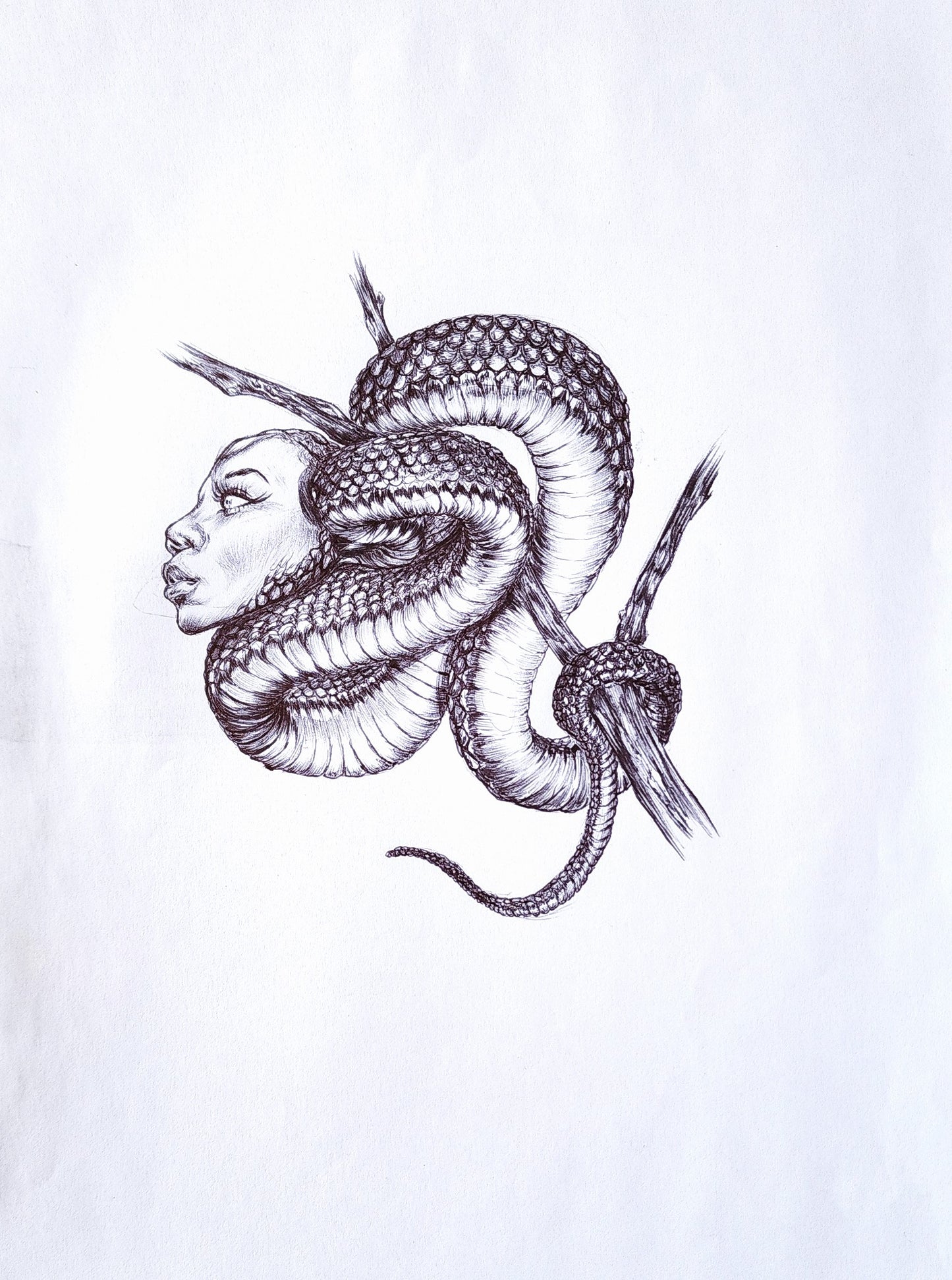Ndaya la Serpent